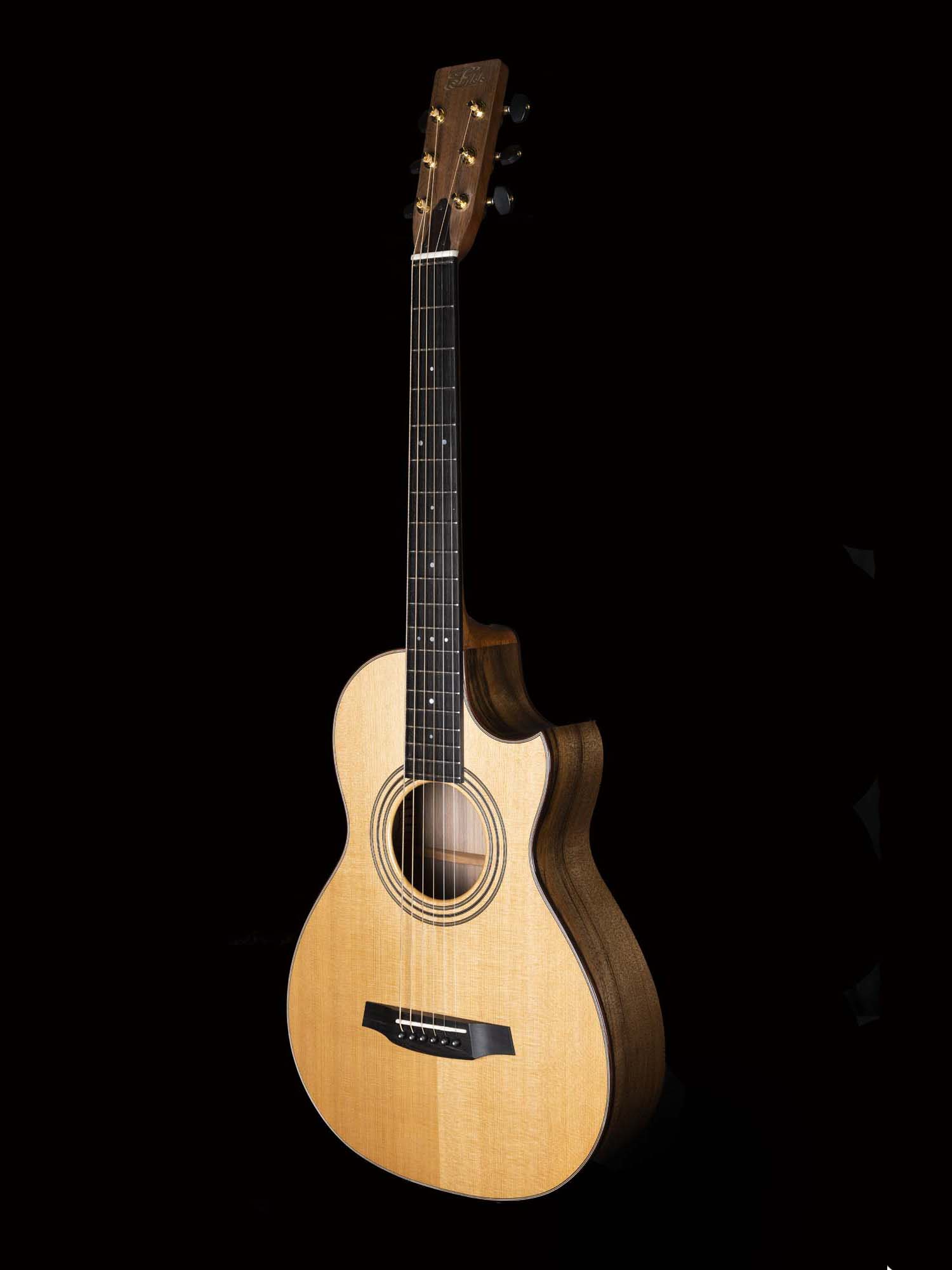 Howard Lees Guitar DSCF0343